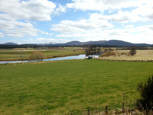 The Bulwark, River Spey, Abernethy