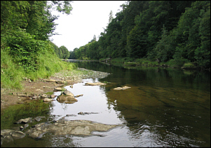 Border Esk Sea Trout Fishing