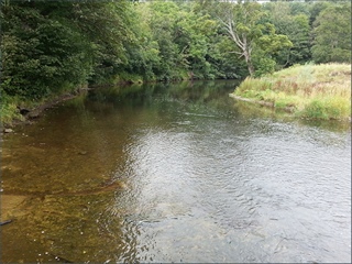 The River Coquet