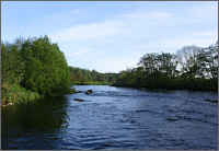 Spey Sea Trout Fishing
