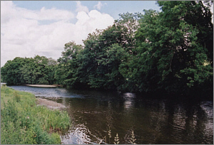RiverTowy