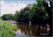 River Towy Sea Trout Fishing