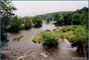 River Towy Sea Trout Fishing