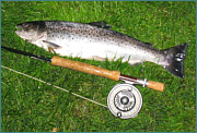 Sea Trout Fly Fishing