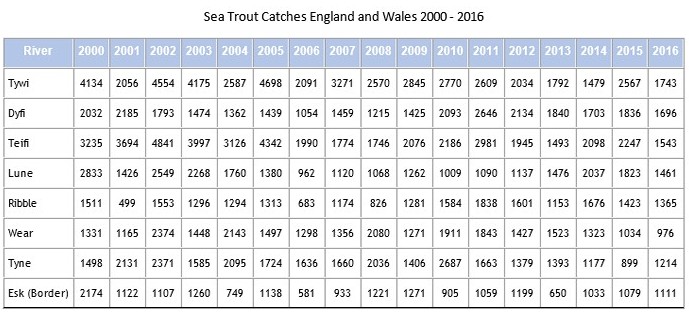 Sea Trout catches in England and Wales