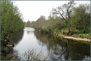 Welsh Sea Trout Fishing
