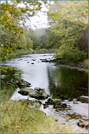 River Sea Trout Fishing