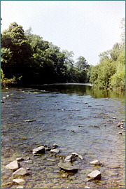 River Sea Trout Fishing