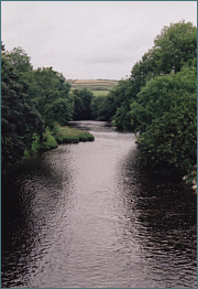 Scottish Sea Trout Fishing