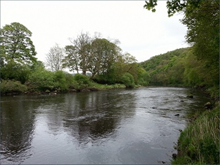 The River South Tyne
